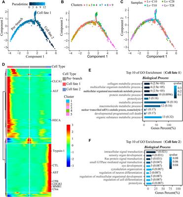 Single-Cell Ribonucleic Acid Sequencing Clarifies Cold Tolerance Mechanisms in the Pacific White Shrimp (Litopenaeus Vannamei)